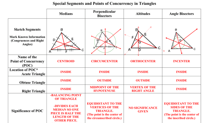 Special segments of a triangle worksheet