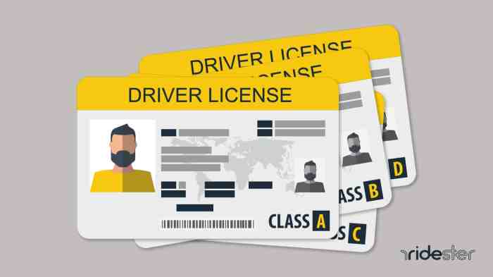 Class license drivers driver