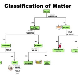 Classification of matter pogil answers