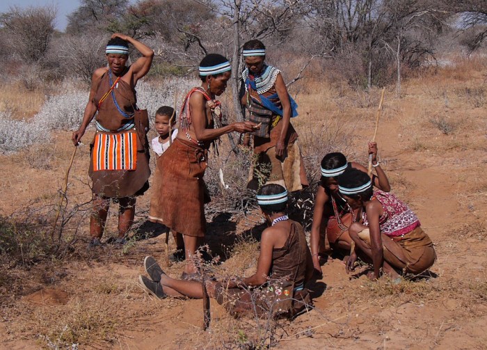 Hunter gatherers skeletons tend to show