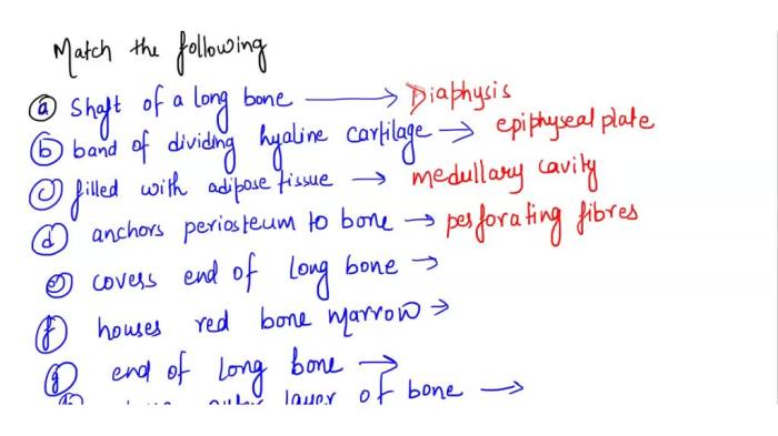 Match each of the following functions/descriptions with its skeletal structure