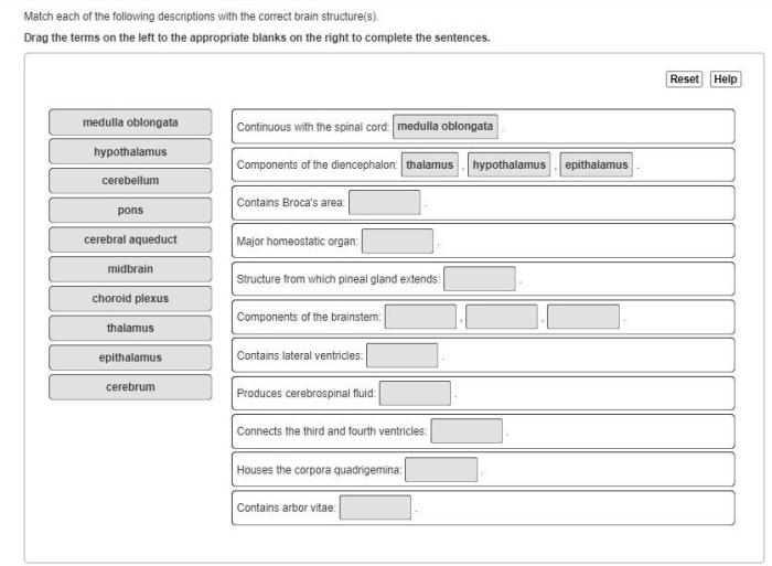 Corresponding solved descriptions transcribed