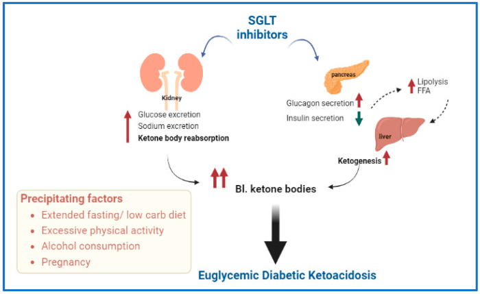 Diabetic people's bodies are less efficient at clearing